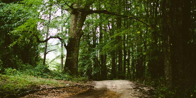 YP复古自行车改装指南：融合经典造型与现代性能，开启禅意与绿色骑行之旅