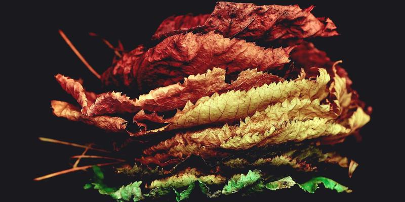 YP电动助力自行车深度评测：续航、动力与适用场景全解析，重新定义自行车骑行体验