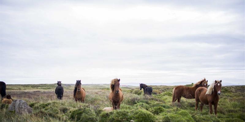 YP自行车37：重新定义专业骑行体验的运动配件与装备指南