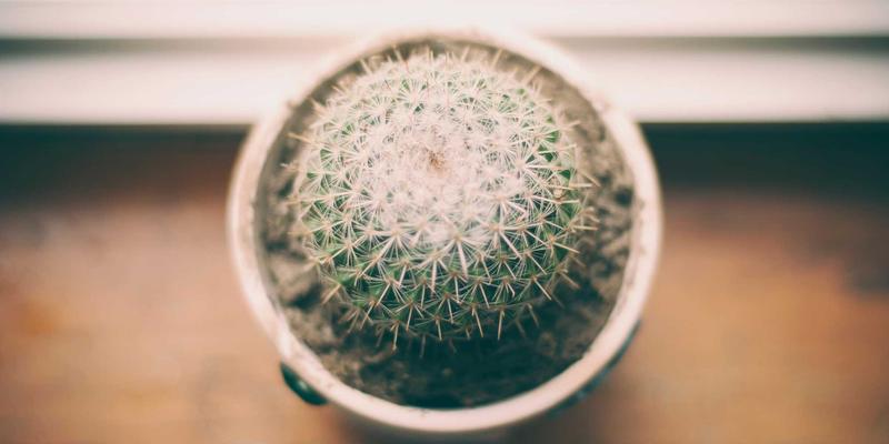 YP自行车二手市场淘车指南：掌握这几点，轻松鉴别车况，开启绿色骑行之旅