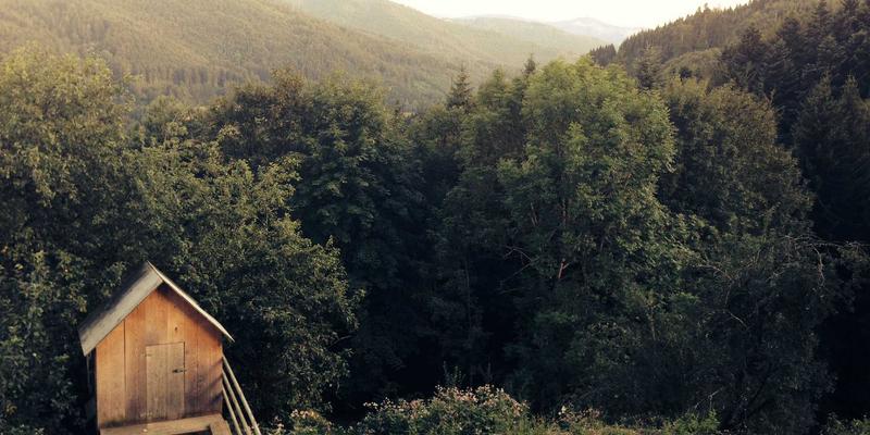 YP自行车全气候骑行指南：雨天、酷暑与寒冷环境的智慧应对与禅意体验