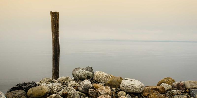 YP自行车社群文化探索：如何找到并参与本地骑行俱乐部，开启绿色骑行之旅