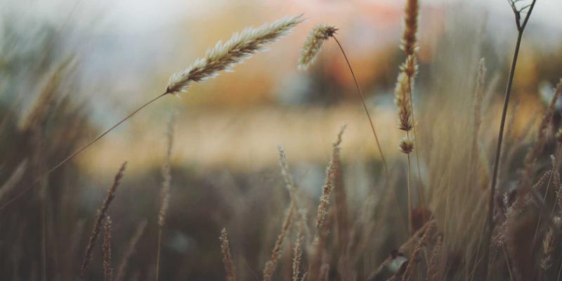 YP自行车:装备革新与禅意骑行的完美融合