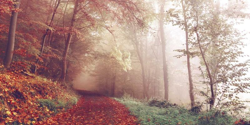 从涂装到组件：揭秘YP自行车个性化定制全流程，打造你的专属骑行装备